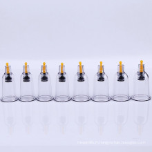 Ensemble de ventouses Hijama de thérapie de fabrication de haute qualité